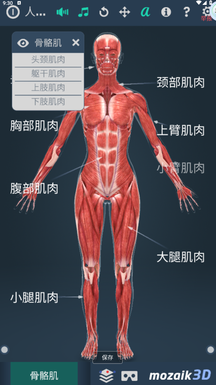 人体系统女性 3d能旋转、缩放模型，方便从不同角度观察